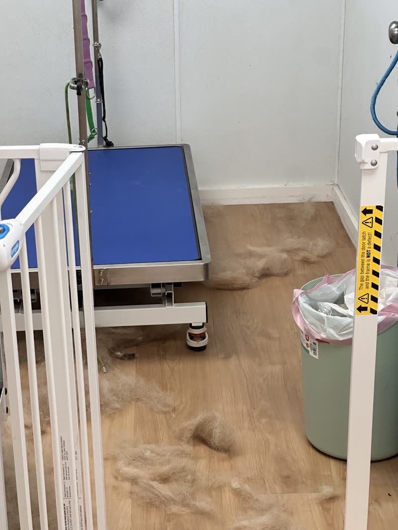 The grooming room at Life is Ruff, with hydraulic table and bath equipment